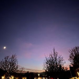 Meet your Posher, Lia